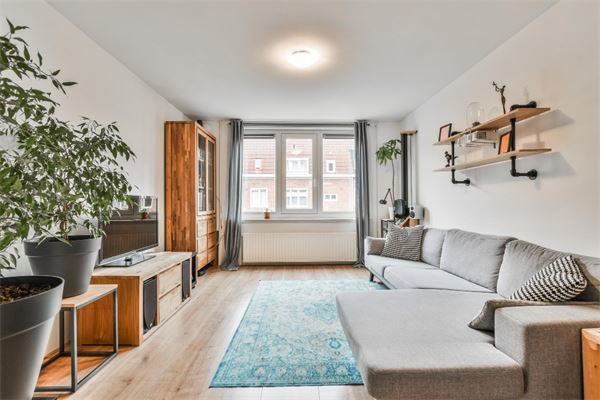 cozy-living-room-modern-apartment
